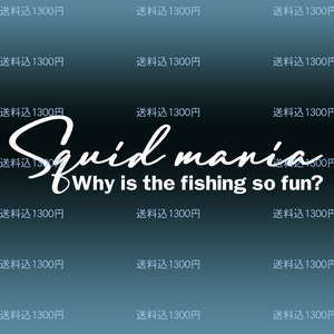 ☆スクイッドマニア　Sportsmind風ステッカー Why is the fishing so fun?どうして釣りはこんなに楽しいのか？NO520