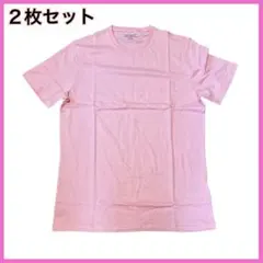 Tシャツ クルーネック レギュラーフィット ピンク 半袖 綿 メンズ　2枚