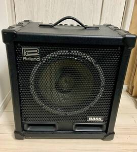 Roland CUBE-120XL BASS