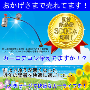 カーエアコンガス エアコン ガス チャージ ホース 車 エアコンガス カーエアコン ガスチャージ R134a 1本 ロング メーター付き