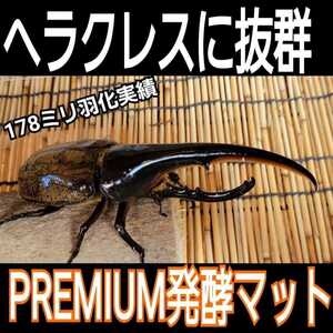 極上☆進化した！プレミアム発酵カブトムシマット☆栄養添加剤3倍配合！ギネス級狙えます！クヌギ100％原料　コバエ、雑虫も全く湧きません