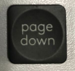 キートップ 「page down」 (Logicool MX KEYS KX800 / CRAFT KX1000)