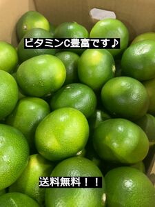 極早生みかん 　無選別　10㎏　熊本県産 送料無料！！