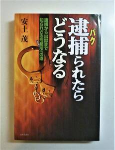 【一家に一冊必携●小説等創作の資料にも有用】逮捕（パク）られたらどうなる　逮捕から出獄まで知られざる刑務所への道