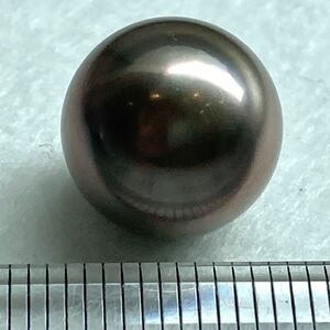 ソ付き!!1円〜!!☆南洋黒蝶真珠13.697ct☆n 約12.51mm ルース 裸石 宝石 black pearl tahitian 真珠 CF9/CF9◎ w5A93