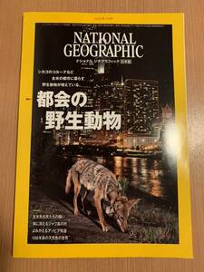 ナショナルジオグラフィック 2022年 7月　2022年7月号　　都会の野生動物　national geographic ナショナルジオグラフィック日本版