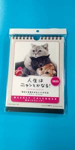 人生はニャンとかなる！2025年週めくり卓上/壁掛けカレンダー