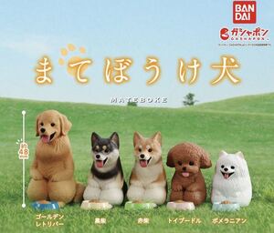 【送料無料】【新品未開封】まてぼうけ犬 フィギュア ゴールデンレトリバー 黒柴 トイプードル ポメラニアン（4種セット）※赤柴なし