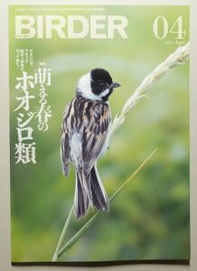 BIRDER 2021年04月号 バーダー　/　文一総合出版　/　野鳥撮影　探鳥　バードウォッチング ホオジロ類