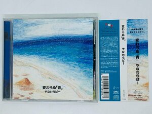 即決CD やなわらばー 変わらぬ「青」 / 月明かり ゆっくりおやすみ / 帯付き Z15