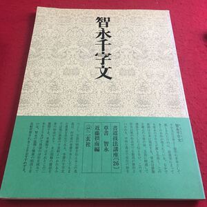 f-427 ※2 書道技法講座〔26〕草書 智永千字文 近藤摂南:編 二玄社 