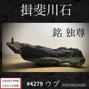 《お宝発掘祭り》水石 揖斐川石 ウブ 銘『独尊』横28×高9×奥行18(cm)3.58kg 盆栽骨董盆石古美術鑑賞石観賞石太湖石中国古玩 4279