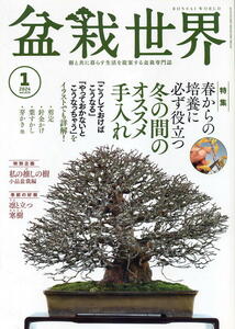 【盆栽世界】2024.01★ 冬の間のオススメ手入れ