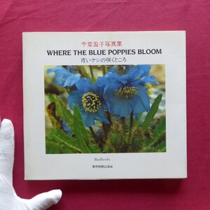 4/千葉盈子写真集【青いケシの咲くところ：WHERE THE BLUE POPPIES BLOOM/東京新聞出版局・平成2年】