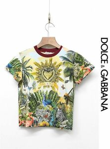 HGS-J299/美品 DOLCE&GABBANA 半袖Tシャツ キッズ 子供服 トロピカル 総柄 アニマル柄 7/8 120-131cm グリーン オレンジ 赤