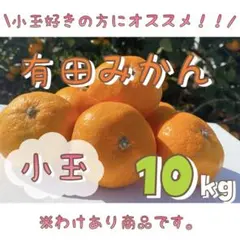 訳あり 和歌山県産 有田みかん 10kg サイズ小玉 柑橘 ミカン13