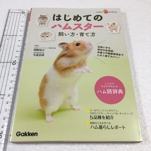 即決　未読未使用品　全国送料無料♪　はじめてのハムスター 飼い方・育て方　JAN- 9784058005385