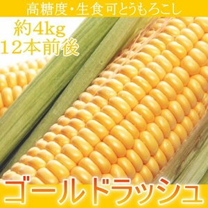 3個出品 高糖度とうもろこし ゴールドラッシュ 生食可 約4kg12本前後 さんきん1円