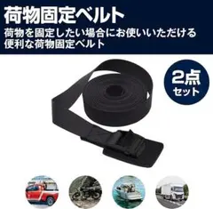 荷物固定ベルト カムバックル式 大型家電 家具  長さ約6m 2点セット