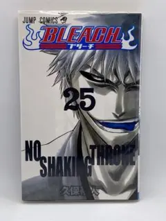 BLEACH -ブリーチ-　第25巻：久保帯人