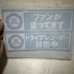 車用カッティングステッカー 湘南乃風 白 車用 ステッカー シール