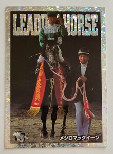 1997年サラブレッドカード　LEADING HORSE RV-2 メジロマックイーン