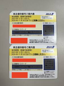 送料無料　未使用　ANA　株主優待券　２０２４年１１月３０日まで　2枚セット