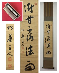 【千寿】松庵 甘露法雨 一行書 紙本 d845◆箱/茶道具/古美術/時代品/掛軸/100027222