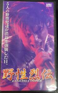 VHS VIDEO ● LAID / 野生 烈伝 A LIVE INTO A TRANCE