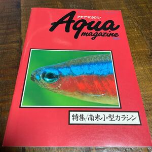 カラシン テトラ アクアマガジン 特集/南米小型カラシン フェア・ウインド 検) 松坂實 テトラ ハチェット ペンシルフィッシュ 熱帯魚