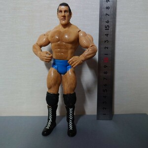 WWE 2003 ブルーノ・サンマルチノ ジャックスパシフィック社 JAKKS Pacific, Inc. 格闘技 プロレス アクションフィギュア 関節可動　24