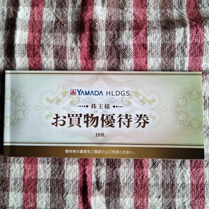 ヤマダホールディングス お買物優待券500円10枚