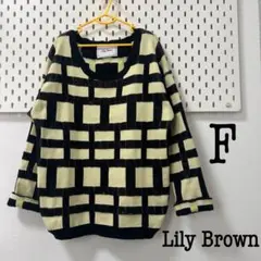 リリーブラウン　F レディース長袖総柄ニット 伸縮性　Lily Broun