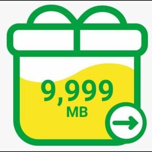 【匿名取引】mineo パケットギフト 約10GB(9999MB)　　（152）