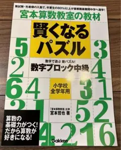 宮本算数教室の賢くなるパズル : 数字ブロック中級