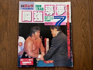 週刊ゴング　増刊号　1995年　平成7年　闘強導夢　燃える闘魂　アントニオ猪木 vs ジェラルド・ゴルドー　ホーク　ノートン　送料無料