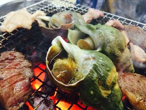 青つぶ 8kg 35～40枚 まとめ買い 青ツブ つぶ貝 ツブ貝 つぶ ツブ 貝 北海道の貝 BBQ グランピング 贈り物 貝焼き 縁日 出店 屋台