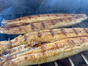 【宮崎県産】通常サイズ120g -140g　6尾セット　炭火焼き鰻　国産鰻