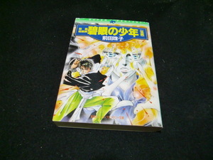  碧眼の少年〈後編〉―魅魎暗躍譚 (集英社スーパーファンタジー文庫)　41293