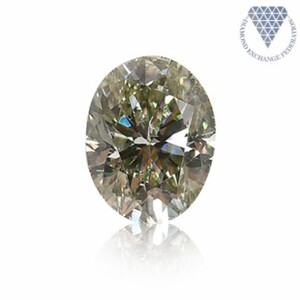 0.47 ct FANCY GRAYISH YELLOWISH GREEN CHAMELEON OVAl GIA 天然 ダイヤモンド ルース DIAMOND EXCHANGE FEDERATION