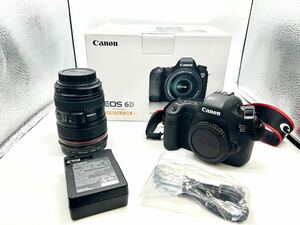 美品　Canon EOS 6D + EF24-105mm F4L IS USM レンズキット