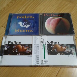 POLLEN DESCENDENTS ALL BAD RELIGION QUEERS EMO RAMONES BEACH BOYS SURF POP POWER SNOTTY PUNK ALTERNATIVE HARDCORE GARAGE FIFTEEN