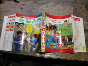 ☆昭和レトロ　小学館　入門百科シリーズ　89　　化石入門　 浜田隆士　あおむら純　井上のぼる　他