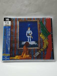 BRONX/ILLUSION OF MR. MORPHINE/ブロンクス/ミスター・モーフィンの幻想/国内盤SHM-CD/1986年/2ndアルバム/横関敦/入手困難盤/THE BRONX