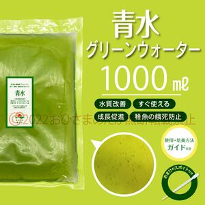 すぐ使える【青水　グリーンウォーター　1000ml】メダカ　めだか　金魚　熱帯魚　ミジンコ　ゾウリムシ　針子にどうぞ　スポイト付き