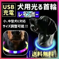 首輪 犬 光る 夜 LEDライト 安全 レインボー おしゃれ 散歩 USB充電