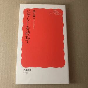 ジプシーを訪ねて （岩波新書　新赤版　１２９１） 関口義人／著