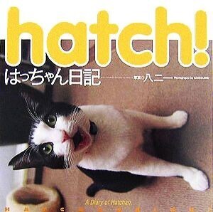 hatch！はっちゃん日記/八二一【写真】