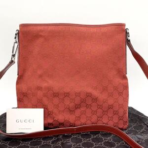 GUCCI グッチ ショルダーバッグ GGキャンバス レッド レザー g00595