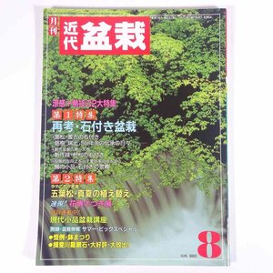 月刊 近代盆栽 No.154 1990/8 近代出版 雑誌 盆栽総合誌 園芸 ガーデニング 植物 特集・再考・石付き盆栽 五葉松・真夏の植え替え ほか